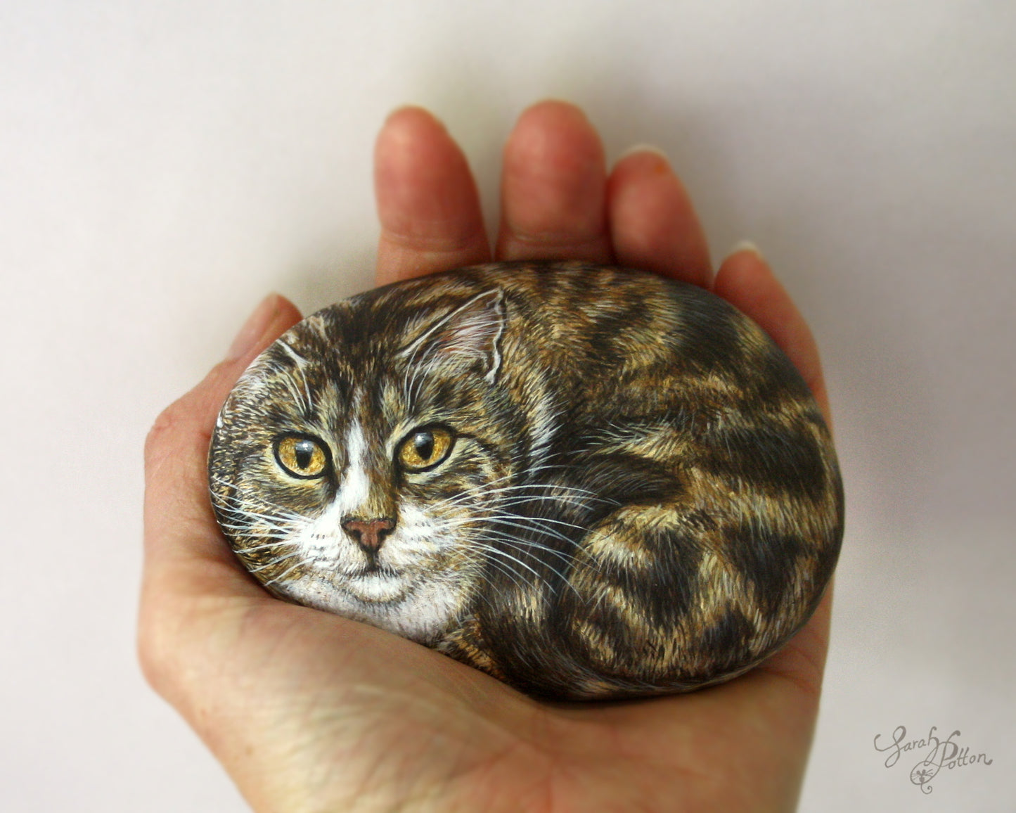 Pet Portrait Painted Rock