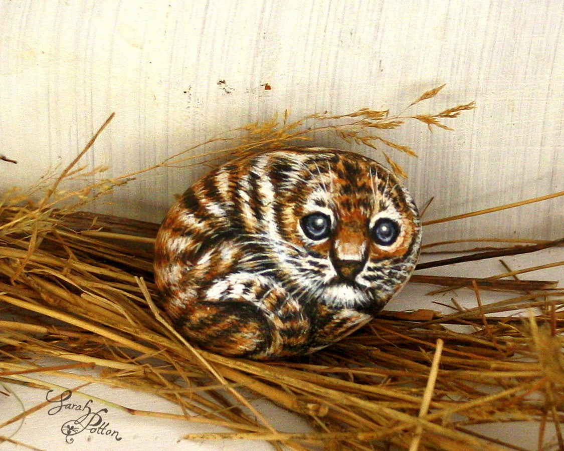 baby tiger animal pebble painting
