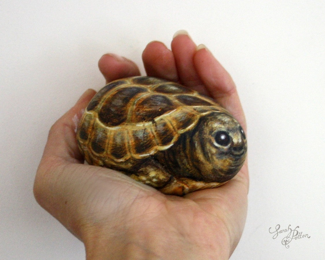 painted tortoise stone by sarah potton