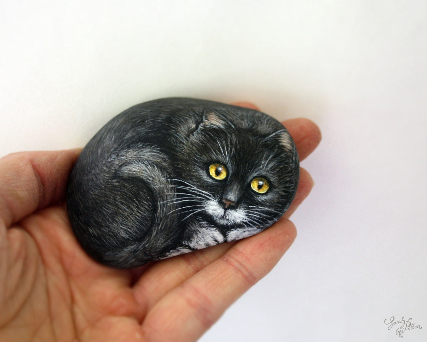 Black & White Cat Painted Stone