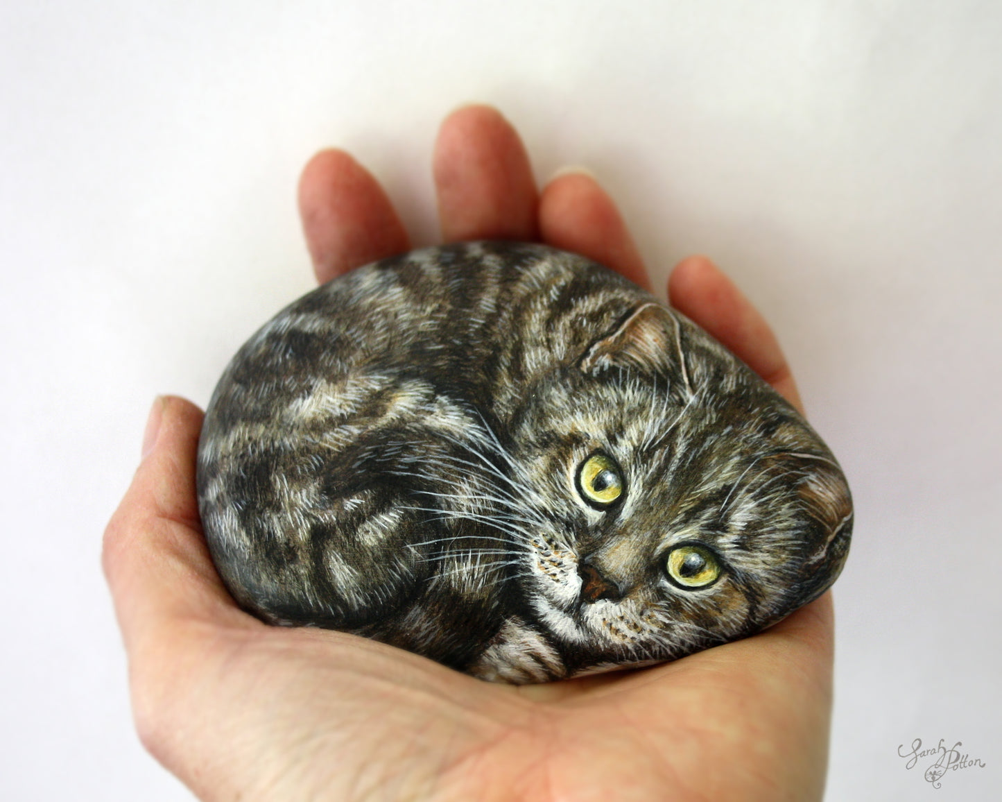 Tabby Cat Painted Rock