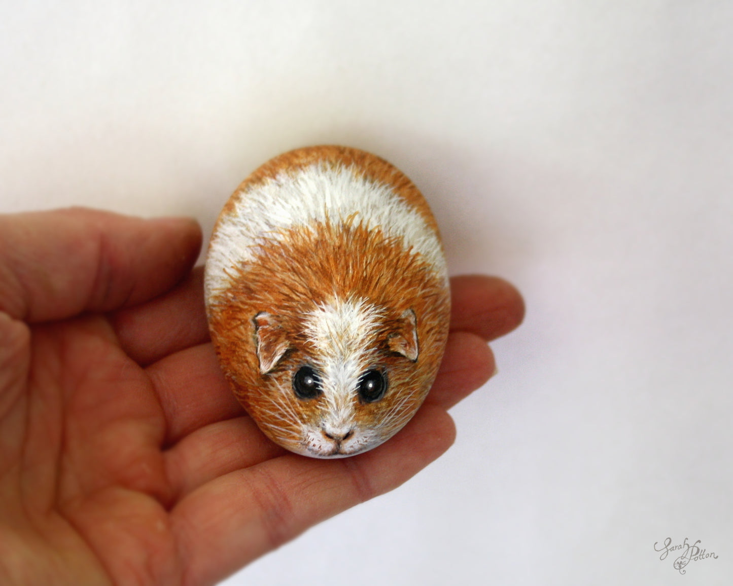 Guinea Pig Painted Stone