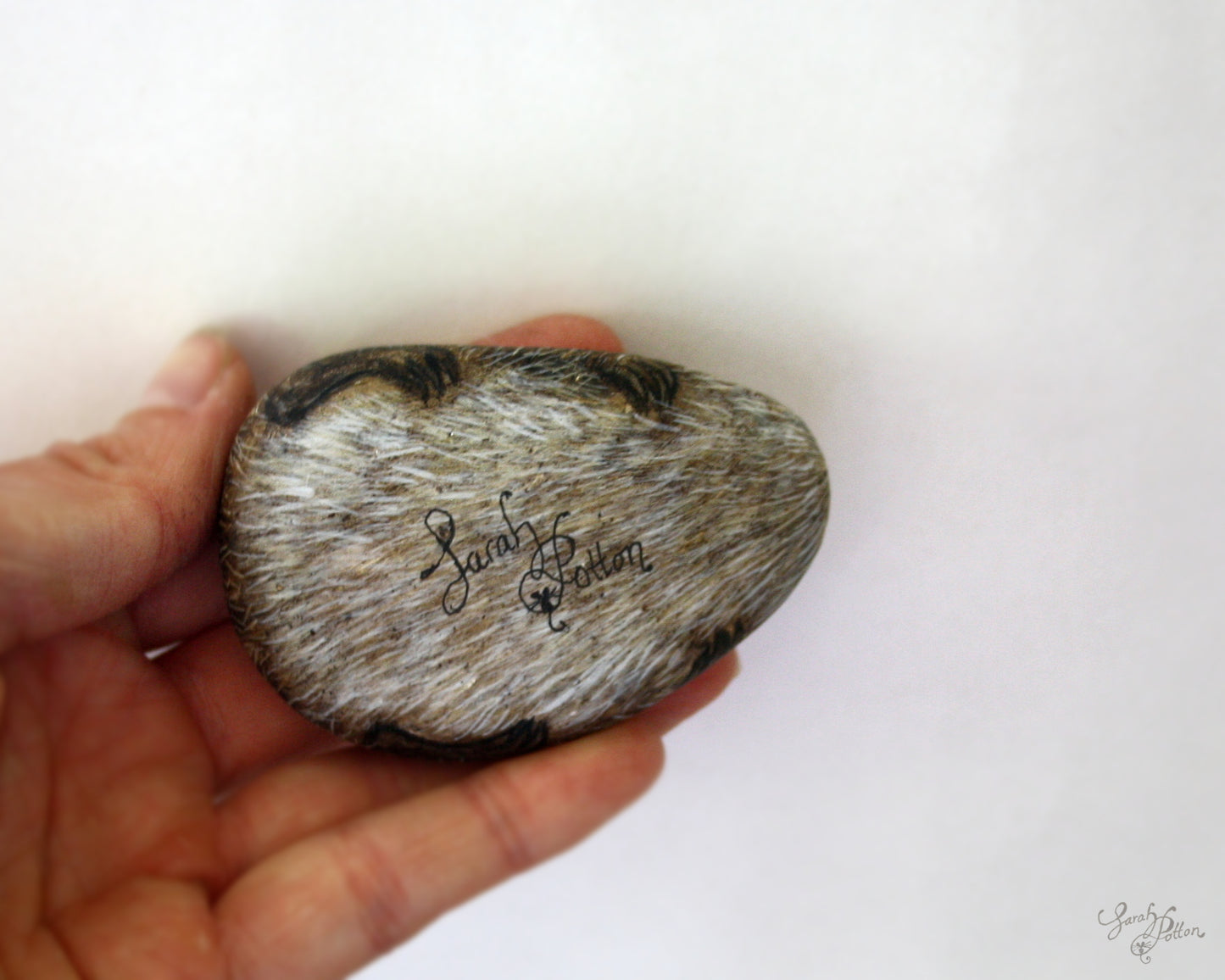 Hedgehog Painted Stone