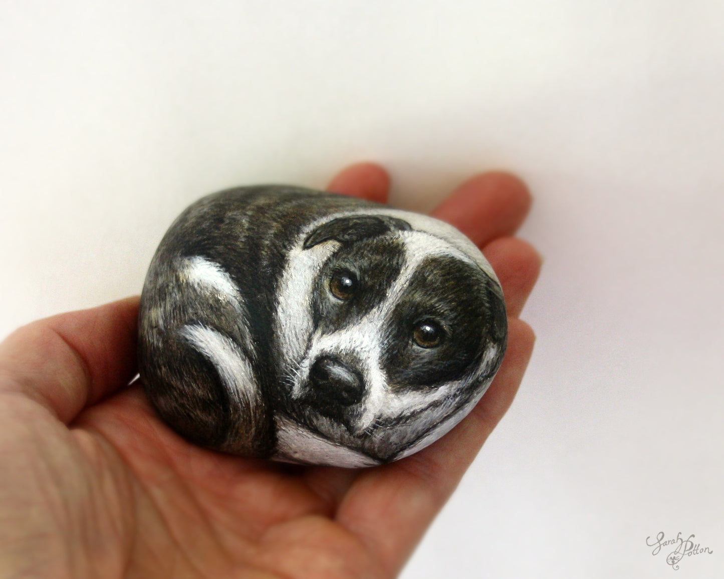 Pet Portrait Painted Rock