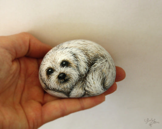 Bichon Frise Dog Painted Stone