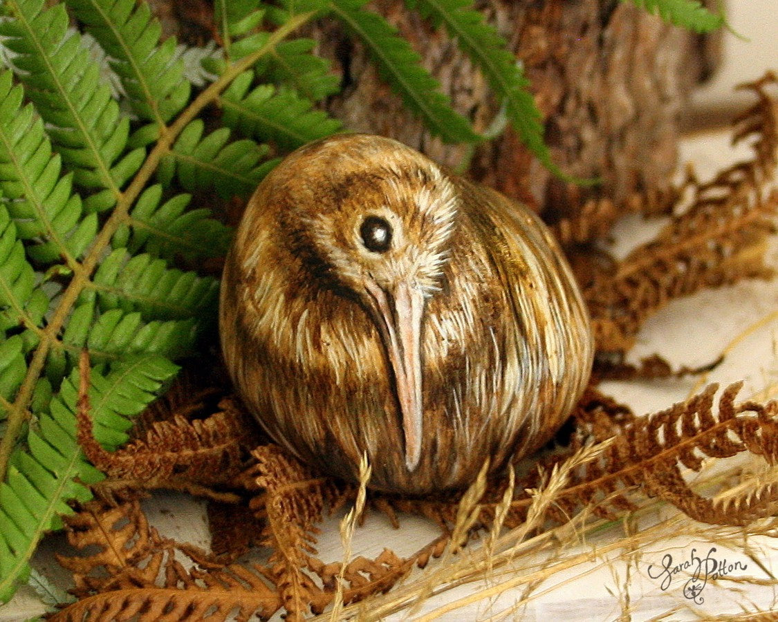 kiwi bird painted rock by nz artist