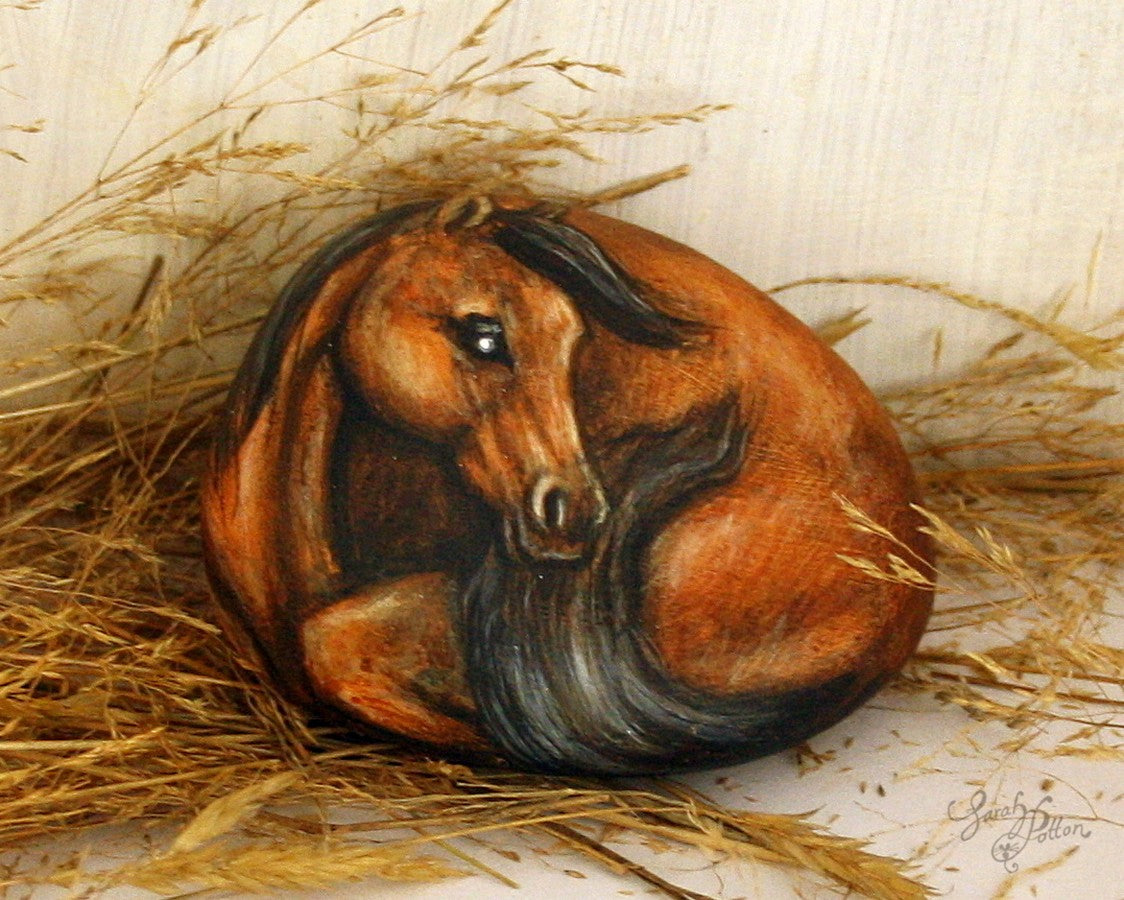 bay horse painted rock