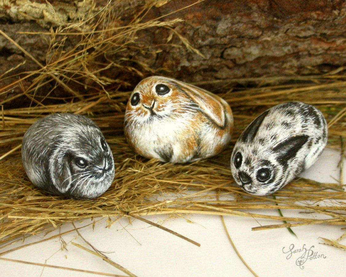 miniature art rabbit painted pebbles