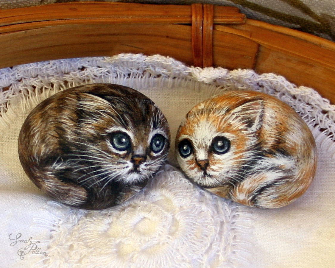 fluffy kitten painted stones 