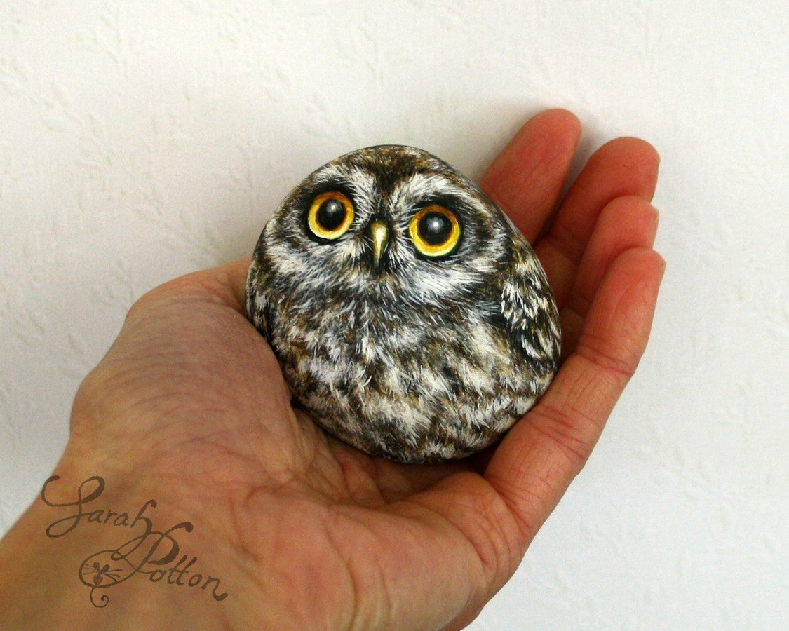 little owl painted rocks nz birds