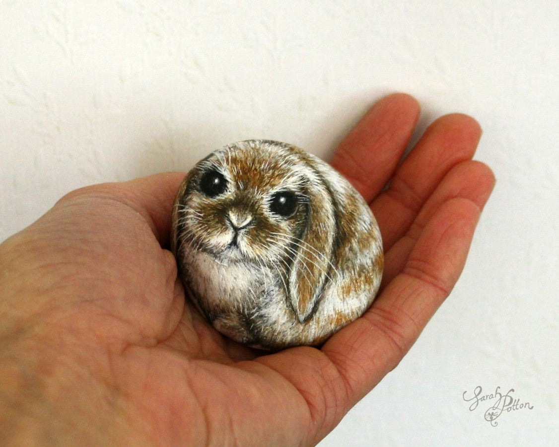 spotty lop rabbit painted stone