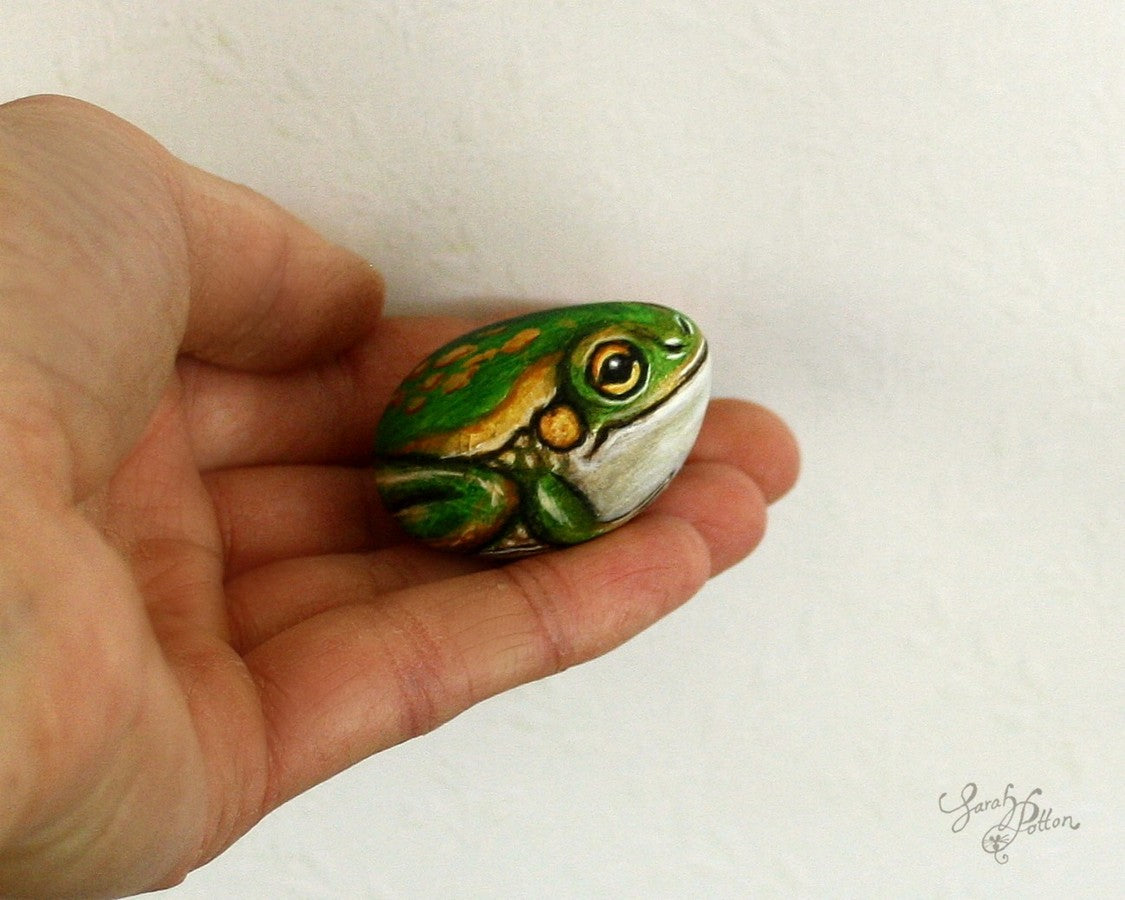 nz frog painted rock art