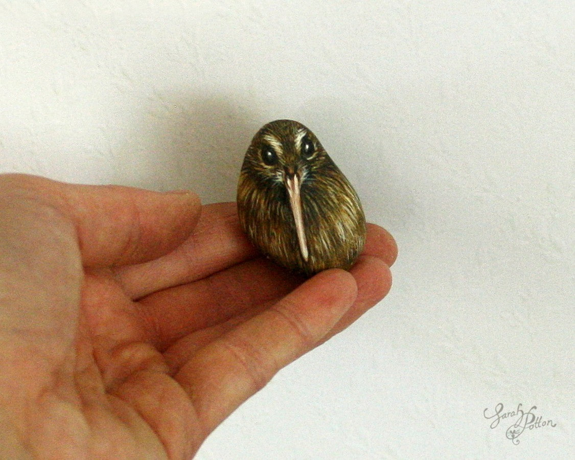nz kiwi bird tiny rock painting by sarah potton
