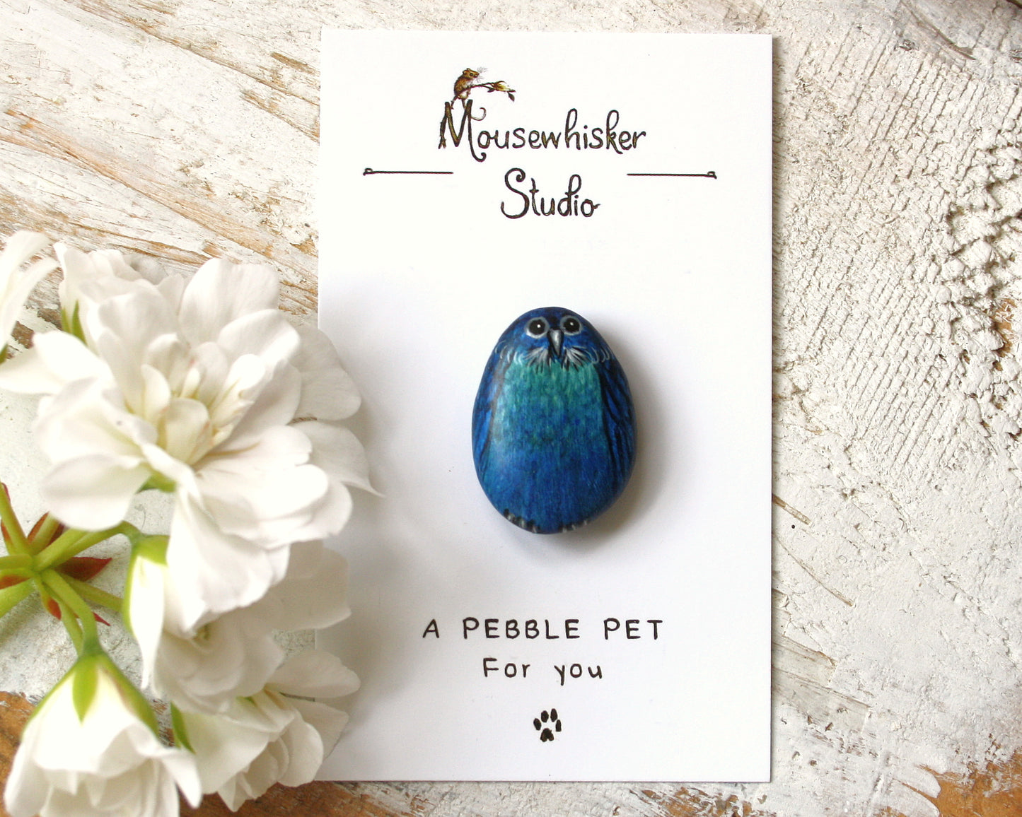 NZ Tui Pebble Brooch