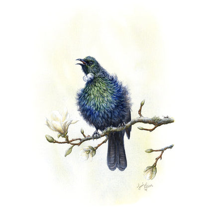 Tui Painting by New Zealand Artist