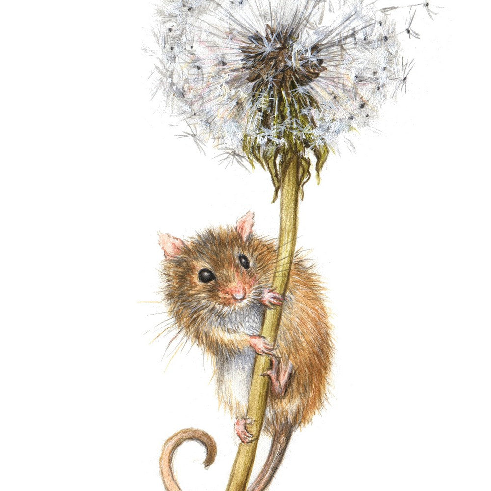 'Dandelion Fluff' - Mouse Original Painting