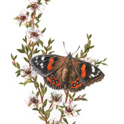 Original Painting - Red Admiral Butterfly & Manuka