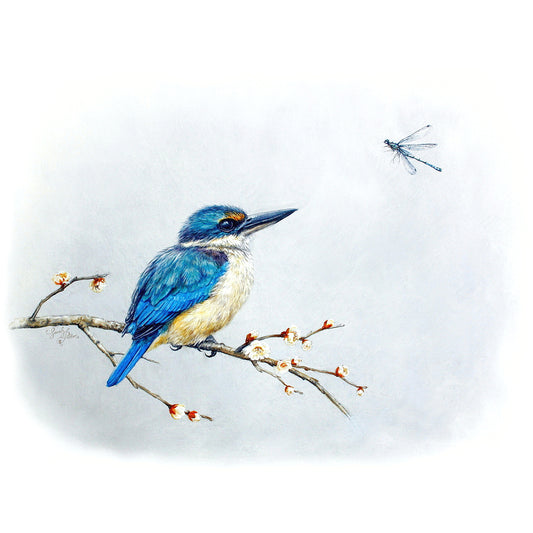 Kingfisher & Dragonfly Print - NZ Bird Decor - Blue Wall Art