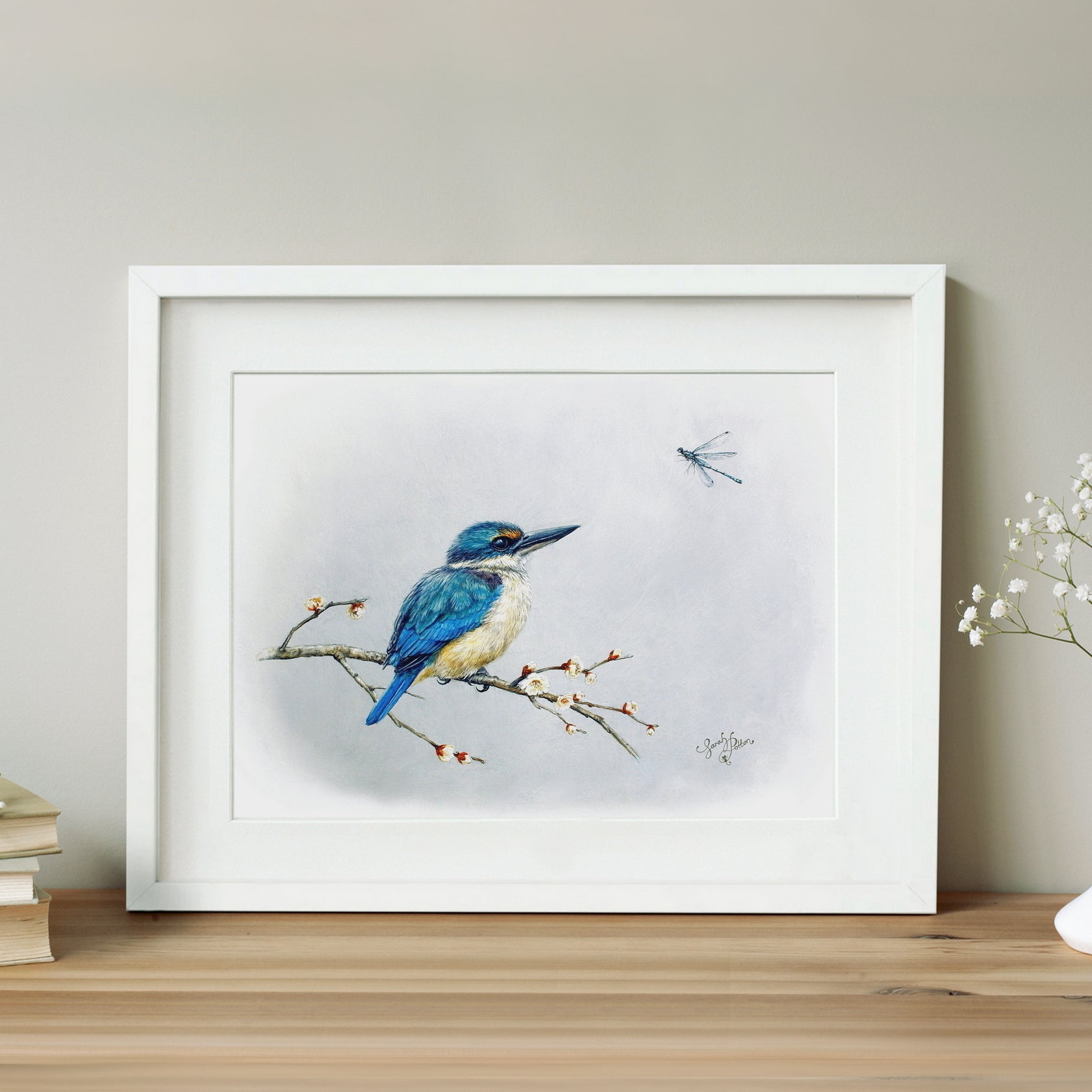 Kingfisher Framed Print by NZ Artist