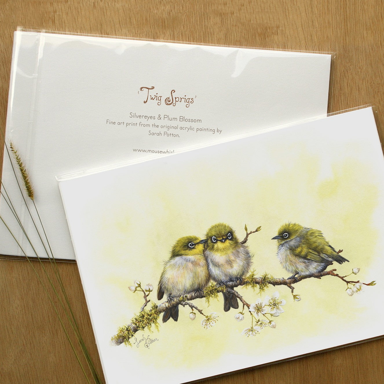  Baby Waxeye Art - NZ Home Decor Gift