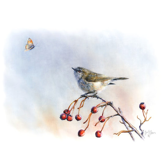 Grey Warbler Fine Art Print - NZ Bird Artwork
