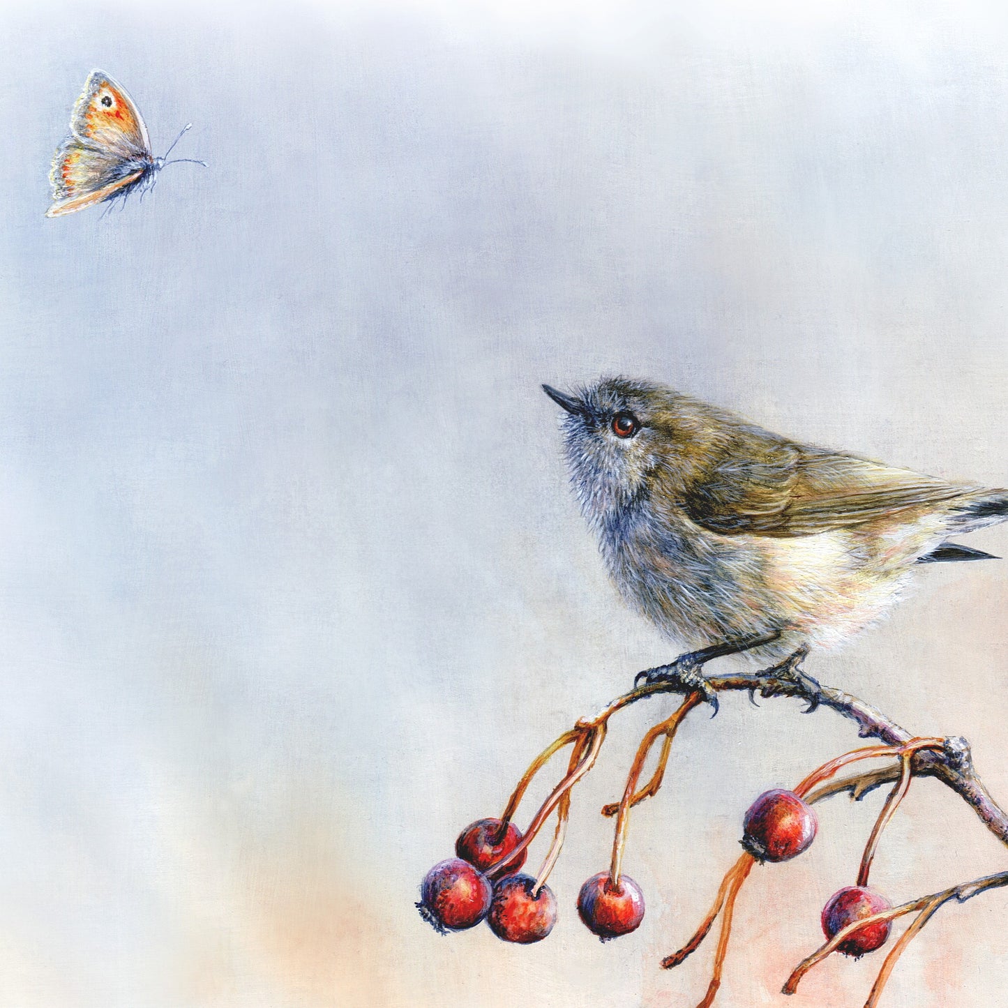Grey Warbler Wall Art Print - Endemic Birds of New Zealand 