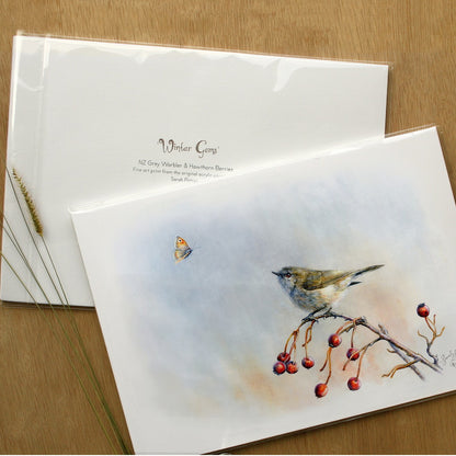 NZ Grey Warbler Artwork - Gifts Online