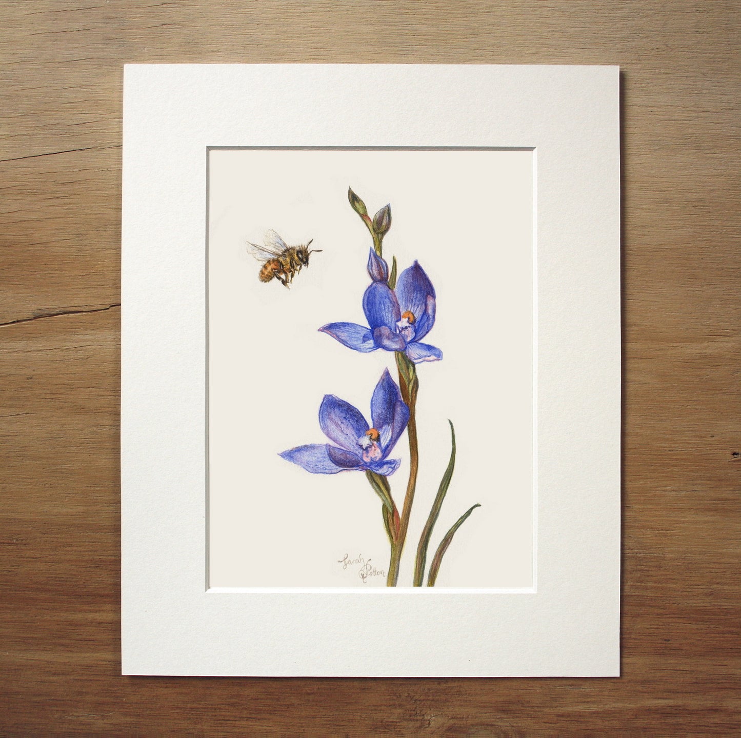 Original Painting - Bee & NZ Orchid Flowers
