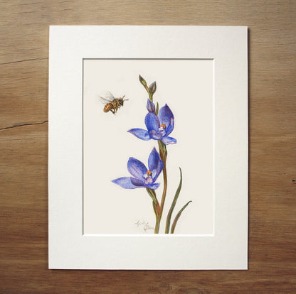 Original Painting - Bee & NZ Orchid Flowers