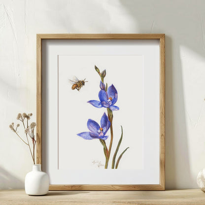 Original Painting - Bee & NZ Orchid Flowers