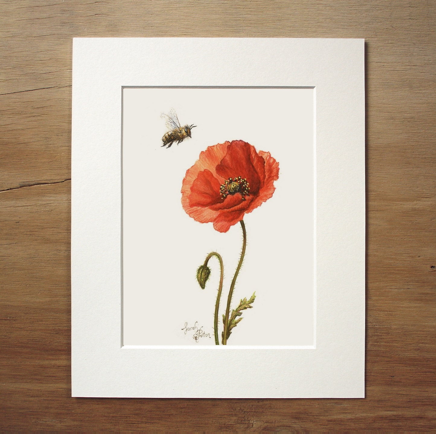Original Painting - Red Poppy & Bee