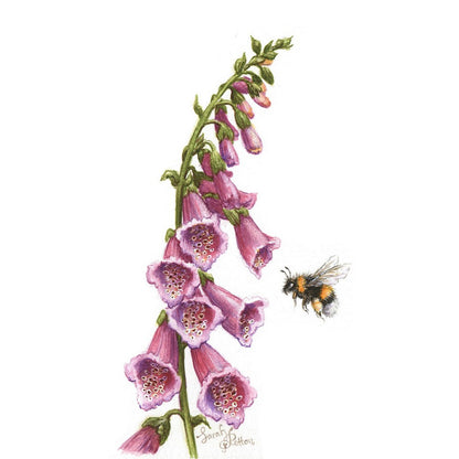 Original Painting - Bumble Bee & Foxglove Flowers