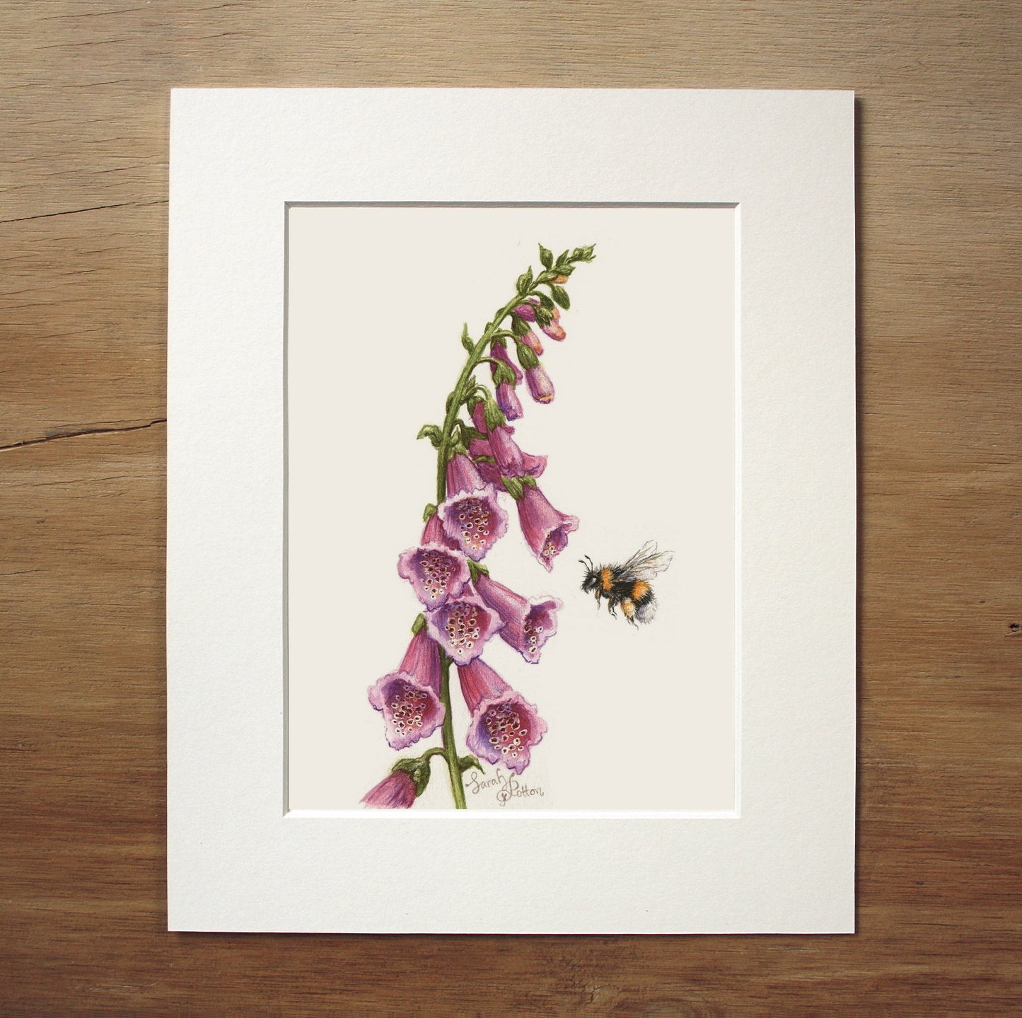 Original Painting - Bumble Bee & Foxglove Flowers