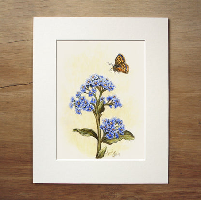 Original Painting - Chatham Island Forget-me-not & Butterfly