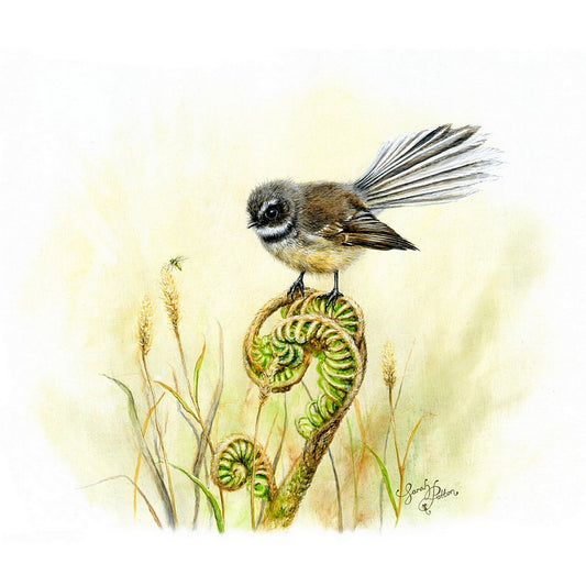 Fantail Art - NZ Bird & Fern Wall Print