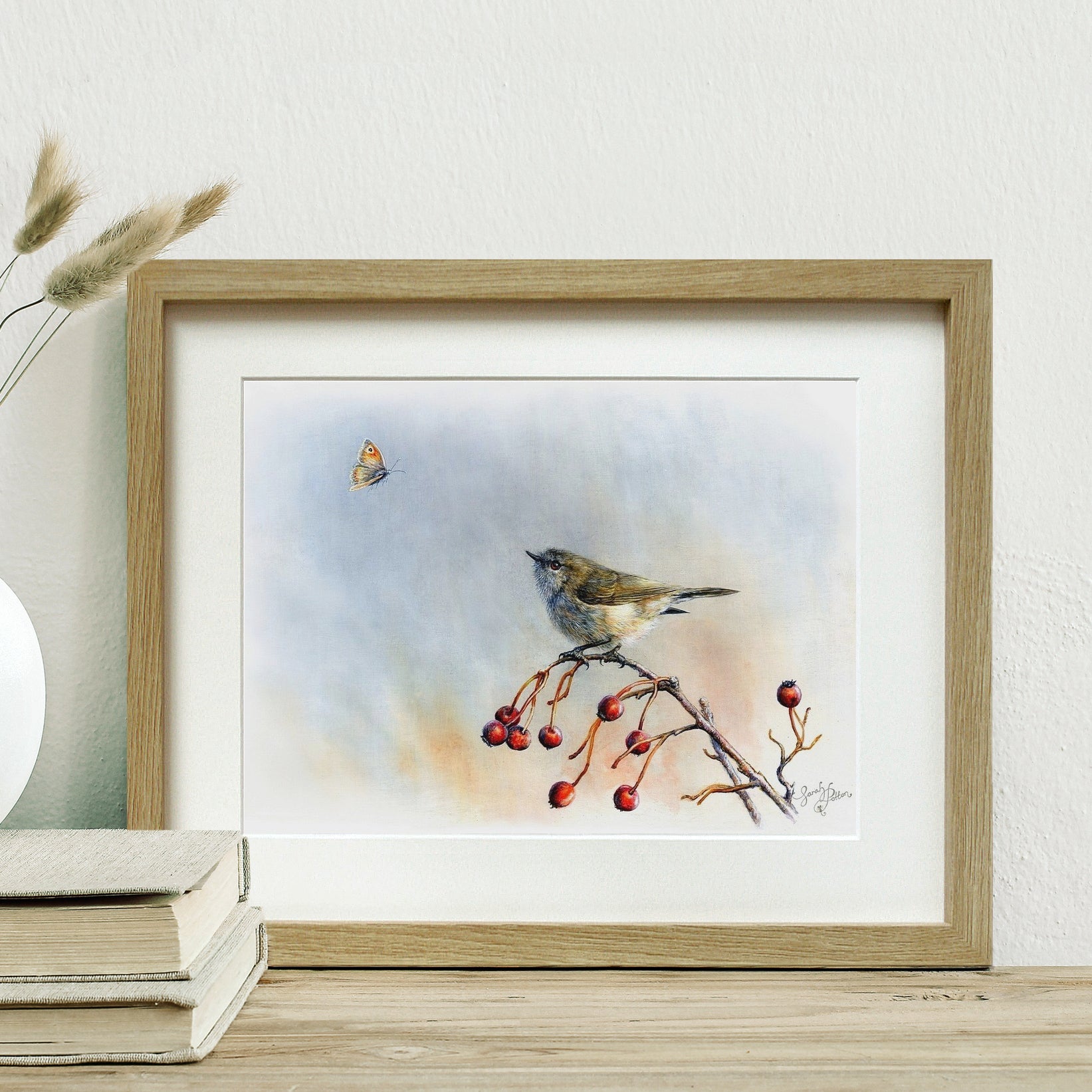 Framed Print of Grey Warbler Bird