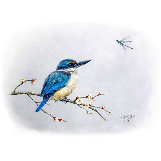 Kingfisher & Dragonfly Print - NZ Bird Decor - Blue Wall Art