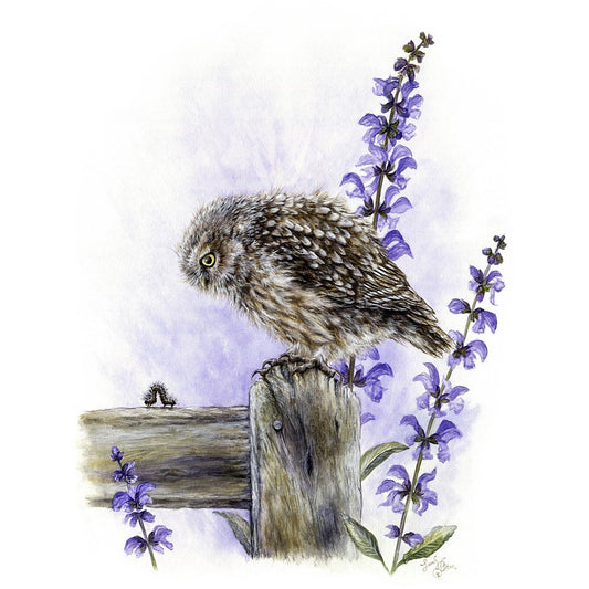 Little Owl & Caterpillar Art - New Zealand Bird Prints for Children's Room