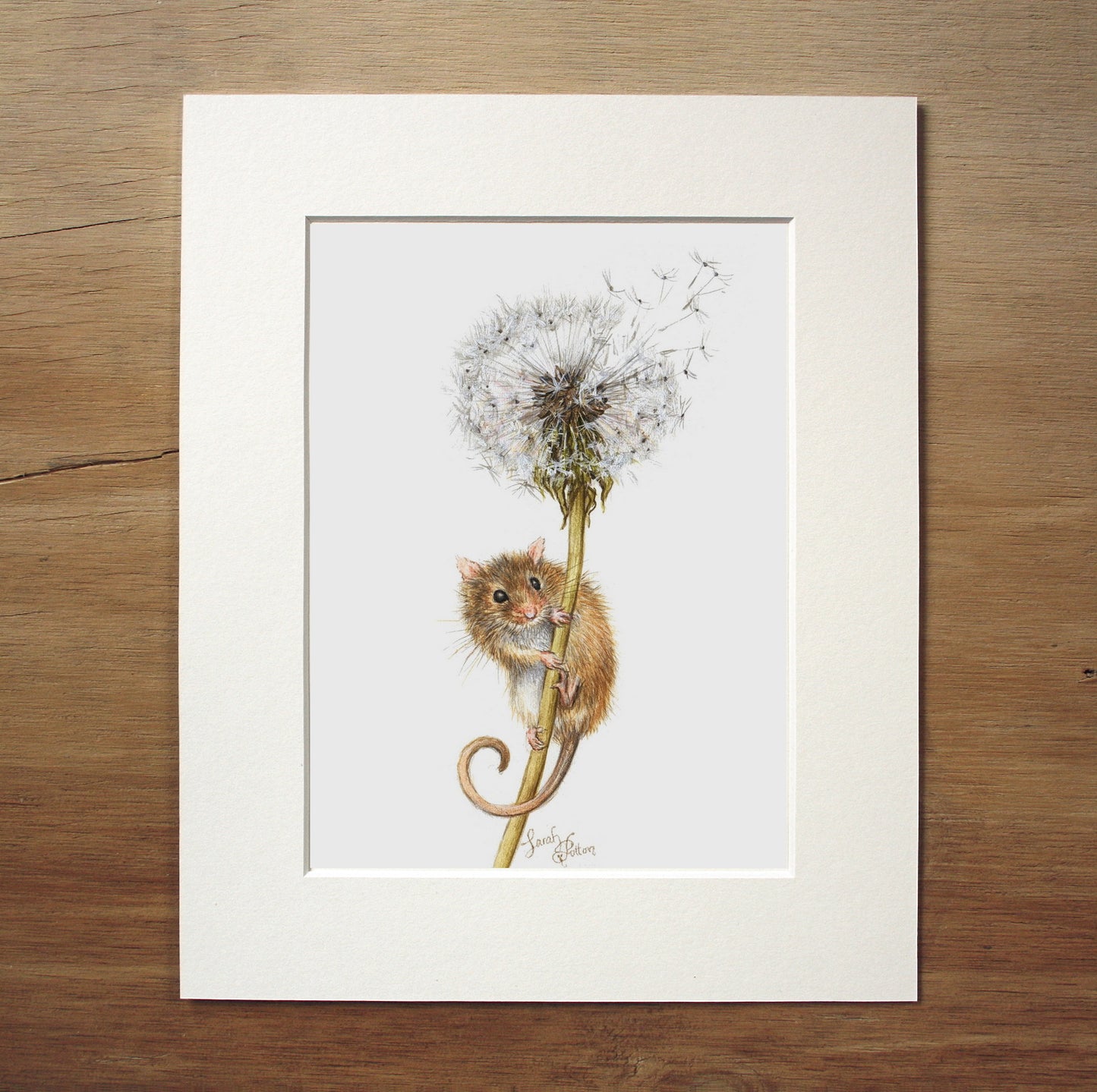 'Dandelion Fluff' - Mouse Original Painting