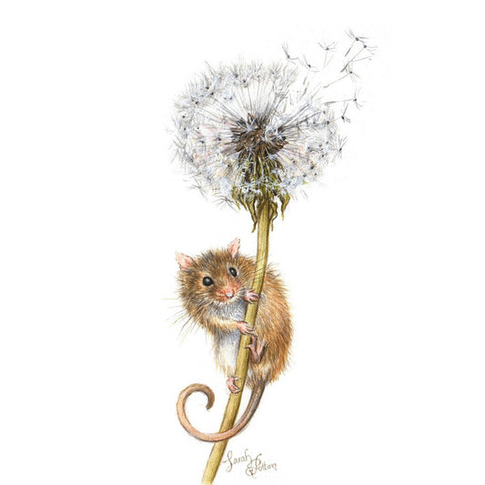 'Dandelion Fluff' - Mouse Original Painting