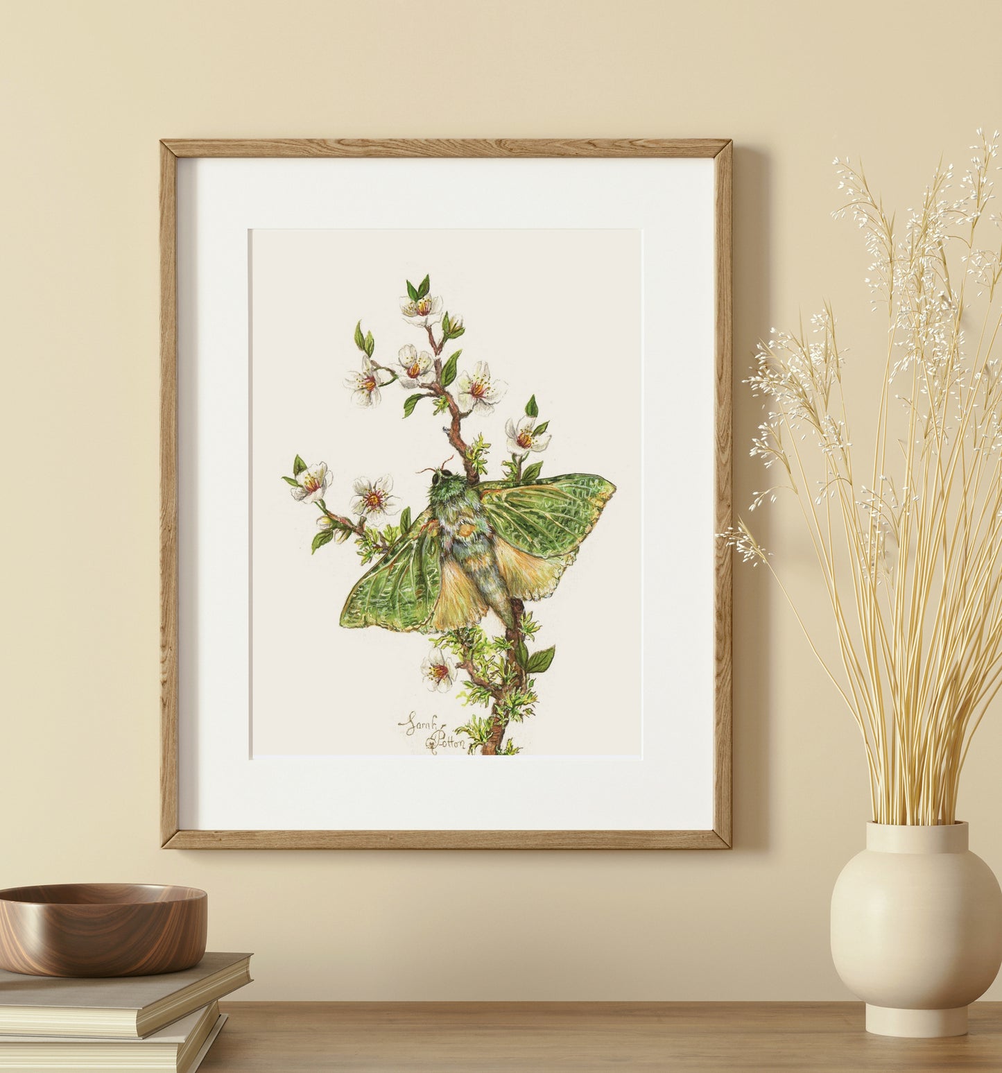 Original Painting - NZ Puriri Moth