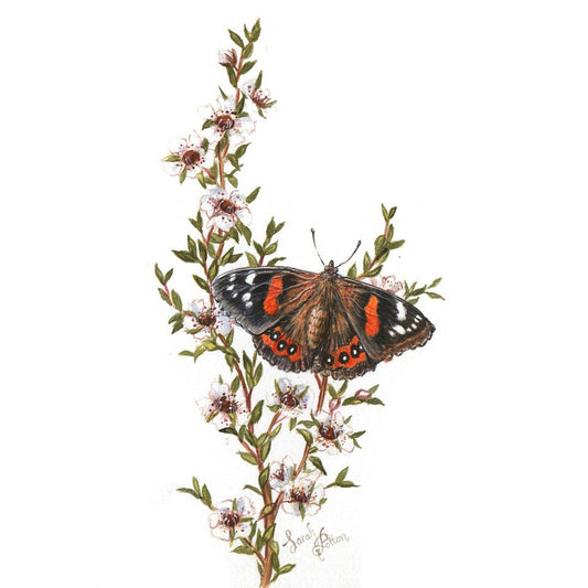 Original Painting - Red Admiral Butterfly & Manuka