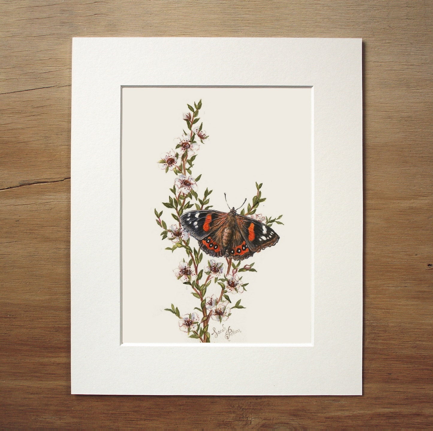 Original Painting - Red Admiral Butterfly & Manuka