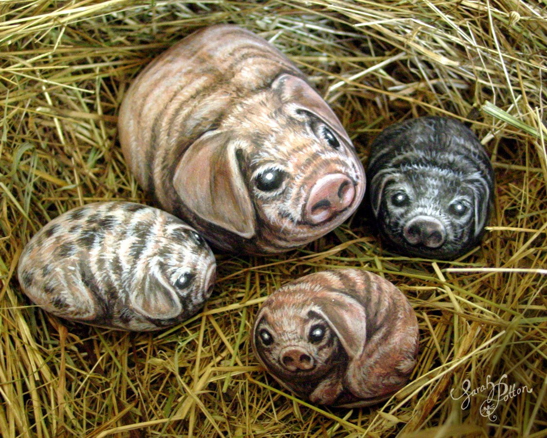 pig stones painted rock farm animals