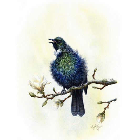 Tui Painting by New Zealand Artist